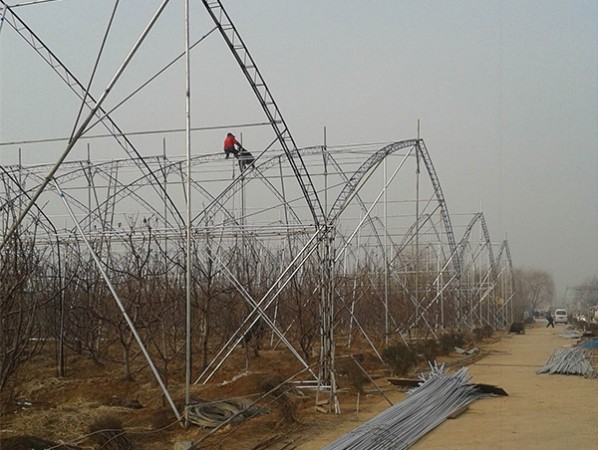 Fruit trees greenhouse
